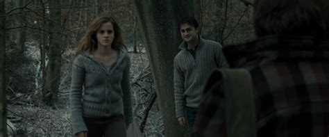 harry potter and the deathly hallows part i harry and