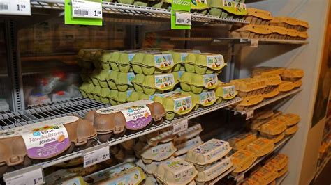 meer supermarkten verhogen uitbetalingsprijzen eieren pluimveewebnl nieuws voor pluimveehouders