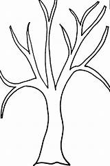 Tree Leaves Without Printable Coloring Drawing Template Trees Pages Sketch Fall Raskraska Templates Getdrawings sketch template