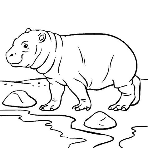 projects   images  pinterest coloring pages coloring