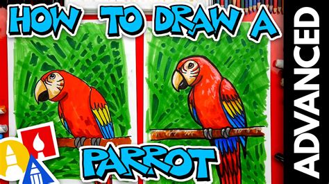 draw  bird parrot advanced art  kids hub