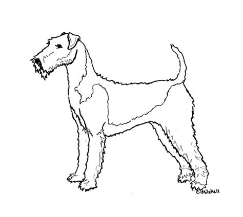 love  shape dog coloring page terrier airedale terrier