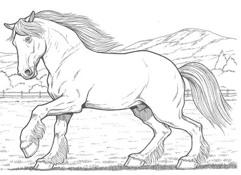 top clydesdale horse coloring pages