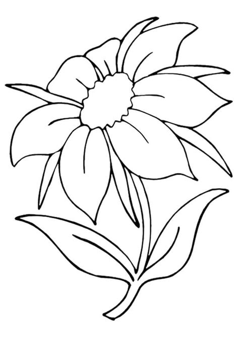 beautiful printable flowers coloring pages