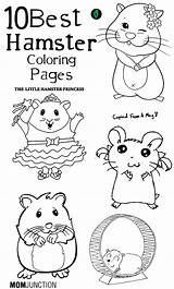 Hamster Coloring Pages Printable Hamsters Cute Kids Color Print Baby Toddlers Book Colouring Sheets Pet Adult Hampster Worksheets Pets Cage sketch template