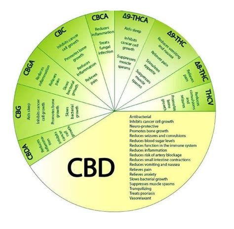 cbd diagram green wellness life