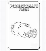 Pomegranate Seeds Coloring Pages Red sketch template