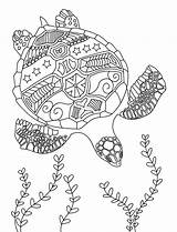 Coloring Pages Adults Turtle Mandala Sea Adult Board Book Relax Ocean Choose Animal sketch template