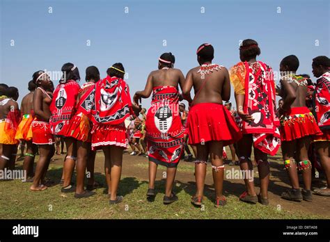 zulu maidens zulu reed dance stockfotos und bilder kaufen alamy