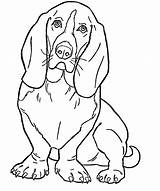 Coloring Clifford Dog Big Sheets Red Library Clipart Basset Hound Printable sketch template