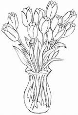 Drawing Vase Flower Tulip Outline Flowers Draw Vases Glass Getdrawings Patterns Rose sketch template