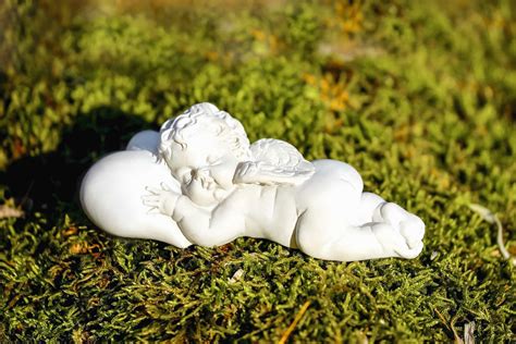 picture statue figure white angel grass nature shadow daylight