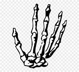 Skeleton Hand Clipart Halloween Bone Drawing Background Human Pinclipart Line Middle Cliparts Library sketch template