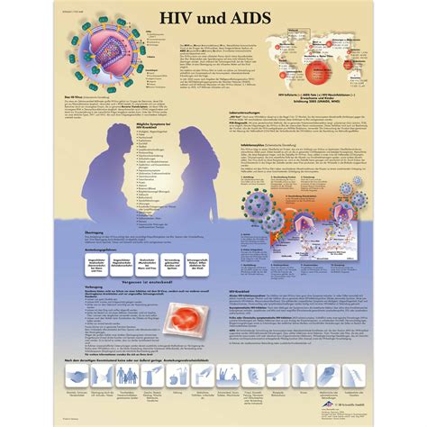 hiv und aids 1001448 3b scientific vr0725l condom