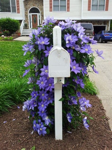 mailbox on pinterest mailbox garden mailbox landscaping and mailbox ideas