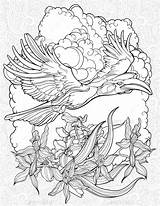 Hornbill Graphicriver Floristic sketch template