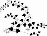 Ivy Clipart Vine Drawing Clip Vector Svg Cliparts Library Paintingvalley Drawings Domain Public Collection Vectors Big sketch template