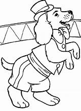 Kleurplaat Kleurplaten Honden Hond Hunde Zirkus Circo Malvorlage Chiens Colorat Mewarnai Kleuren Caini Planse Hund Coloriages Circ Anjing Animasi Entrenados sketch template
