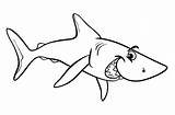 Coloring Sharks Kids Pages Simple Color Children sketch template