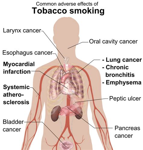 smoking health risks the amazing medicine