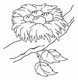 Nest Coloring Bird Pages Eggs Drawing Printable Colouring Color Getdrawings Safest Getcolorings Animal Place Flower Choose Board Tocolor 616px 96kb sketch template