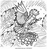 Parrot Exotic Cockatoo Coloring Vector Tropical Bird sketch template