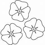 Poppy Template Flower Printable Clipart Clipartbest sketch template