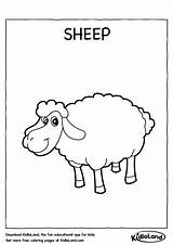 Sheep Coloring Worksheets Worksheet Kidloland Kids sketch template