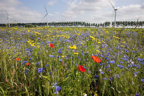 proeftuin van pallandtpolder  de steigers precisielandbouw voor alle telers