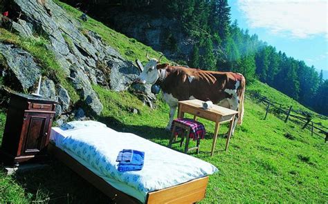 auch im kanton freiburg zieht airbnb neu eine kurtaxe ein htrch
