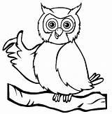 Coloring Pages Owl Color Animal Bird Owls Print Colouring Animals Printable Wise Birds Clipart Sheets Owl2 Eulen Clipartbest Drawing Back sketch template