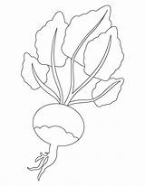 Turnip Enormous Coloring Pages Colouring Giant Preschool Story Sheets Classroom Searches Recent Activities Library Clipart Line sketch template