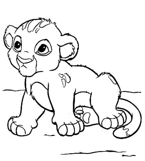 baby lion coloring pages  kids