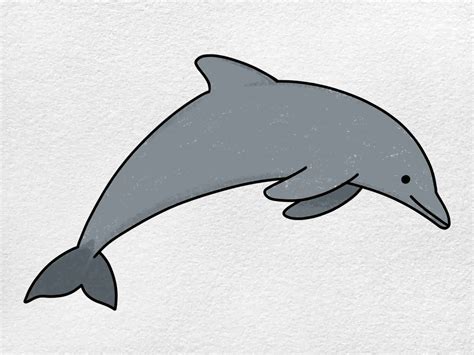 draw  dolphin helloartsy