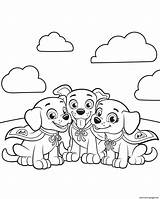 Coloring Paw Patrol Pages Team Companions Independence Canine Printable sketch template