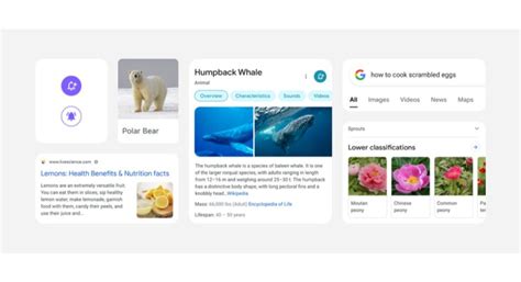 google search mobile    major visual redesign focusing