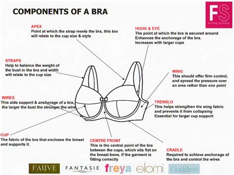 Pin On Lingerie Resources