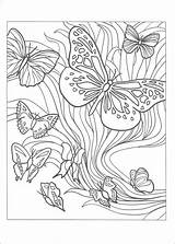 Coloring Dover Butterflies Spark Book sketch template