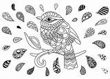 Oiseau Bird Oiseaux Uccelli Zentangle Colorare Aves Coloriage Adultos Adulti Coloriages Goutes Gouttes Colorati Justcolor Animaux sketch template