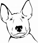 Terrier Bull Drawing Getdrawings sketch template