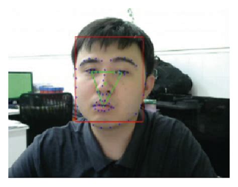 results  face detection  feature point location