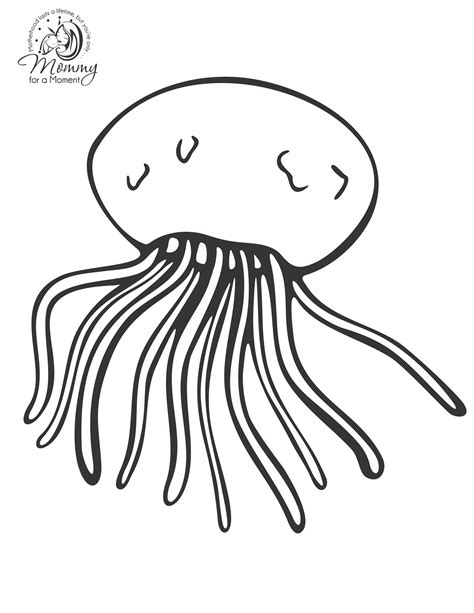 printable coloring pages  jellyfish jellyfish coloring pages