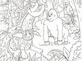 Selva Colorir Giungla Animales Jungle Desenhos Coloriage Natureza Savana Animaux Fumetto Floresta Foresta Dschungeltiere Animal Coloringcity Kolorowanka Wektor Kolorowanki Dżungli sketch template