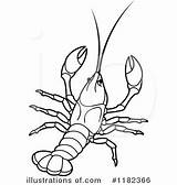 Clipart Crawdad Crawfish Drawing Illustration Line Pages Lobster Template Royalty Getdrawings Crab Trap Coloring Louisiana Perera Lal Sketch sketch template
