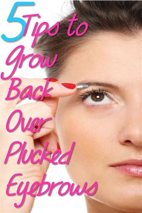 5 Tips To Grow Back Over Plucked Eyebrows Hair Beauty Eyebrows