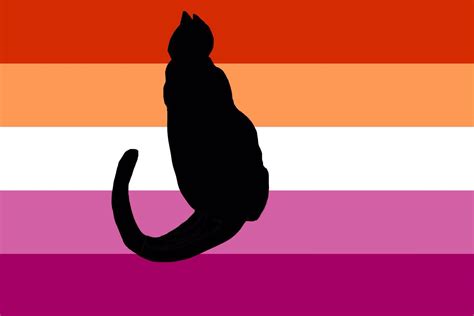 My Attempt To Put A Cat On The Lesbian Pride Flag Lol Actuallesbians