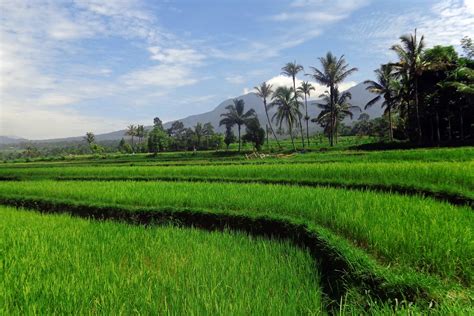 fantastis  foto pemandangan pedesaan indonesia arka gambar