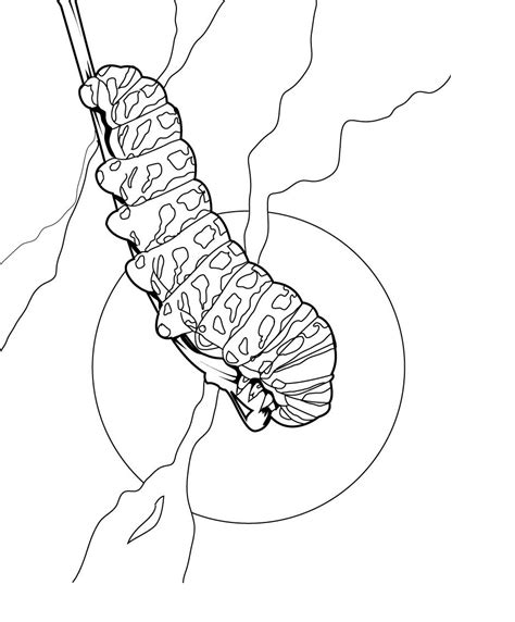 caterpillar coloring pages printable printable templates