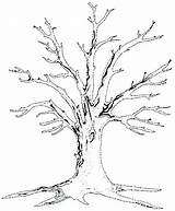 Tree Outline Leafless Drawing Bare Printable Trees Template Drawings Embroidery Paintingvalley Basic A3 Embroiderydesigns sketch template