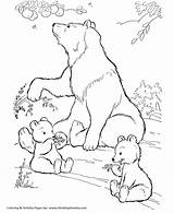 Coloring Pages Wild Bear Animal Bears Kids Eating Print Animals Polar Color Berries Sheet Honkingdonkey Cubs sketch template